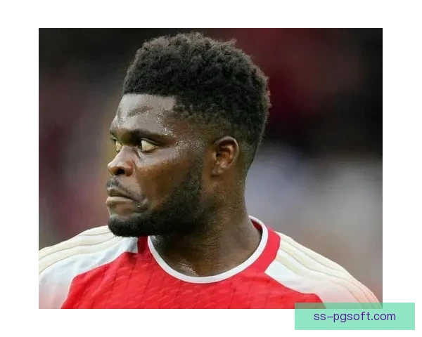 帕利尼亚接替帕夫洛维奇伤后缺席角色成为新焦点并带领球队走向新高