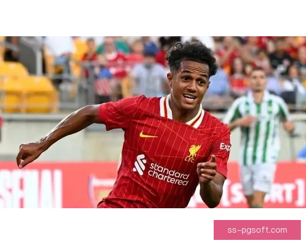 法比奥·卡瓦略2750万英镑转会加盟布伦特福德震撼来袭